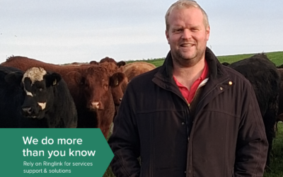 Ringlink: doing more than you know